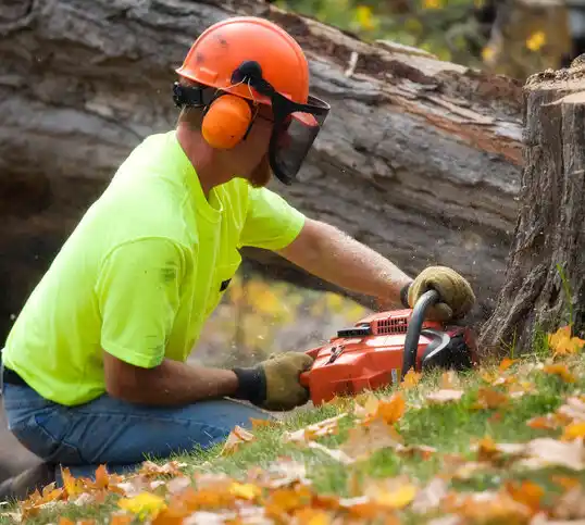 tree services Cannon AFB